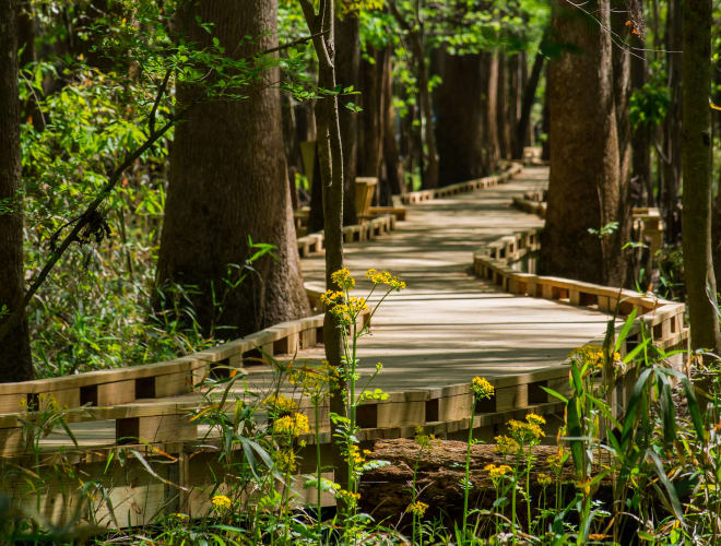 Congaree National Park, Richland Infos, Preise und mehr ADAC Maps