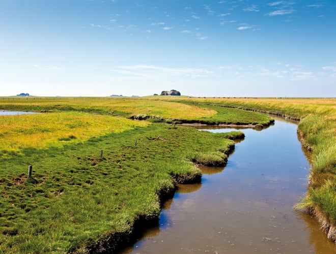 Hallig Langeneß