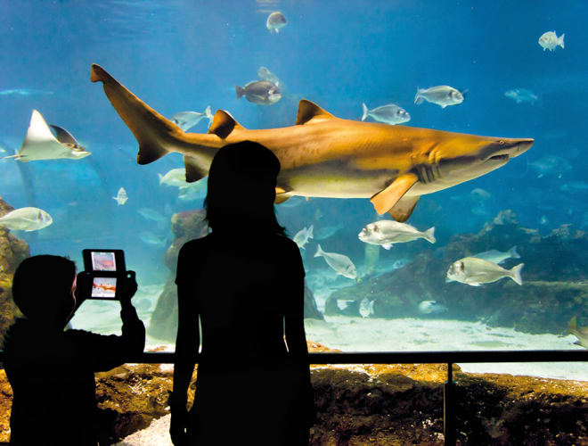 Barcelona, Aquàrium