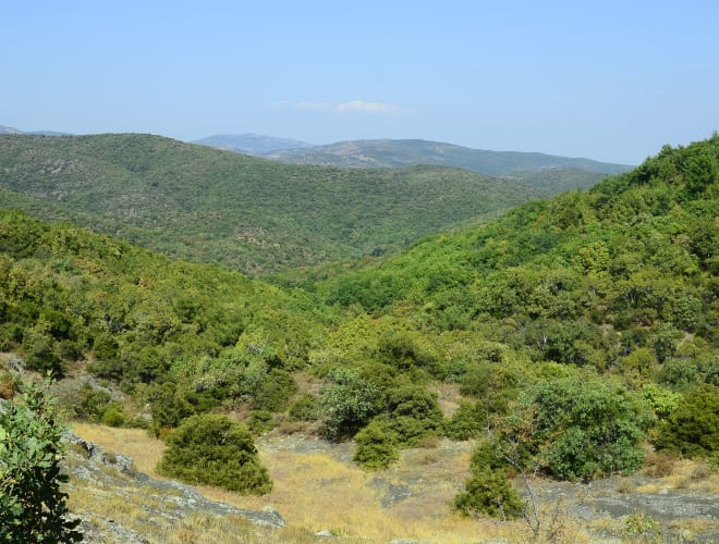 Dadia, Dadia-Lefkimi-Soufli Forest Nationalpark