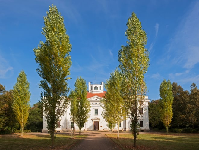 Dessau-Roßlau, Schloss Georgium