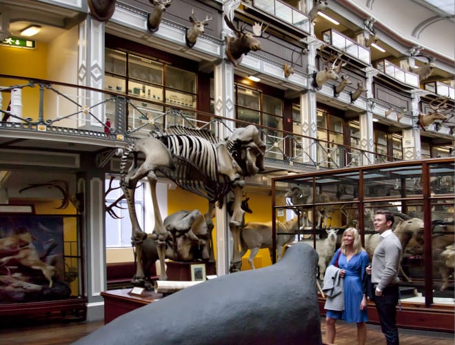 Dublin, National Museum - National History