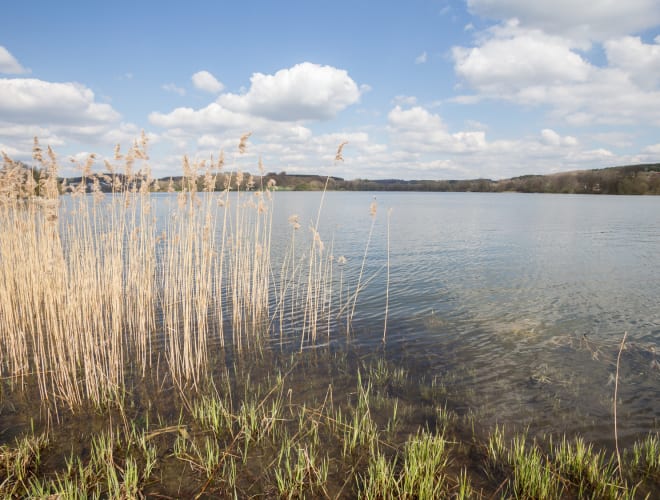 Dreifelden, Westerwälder Seenplatte