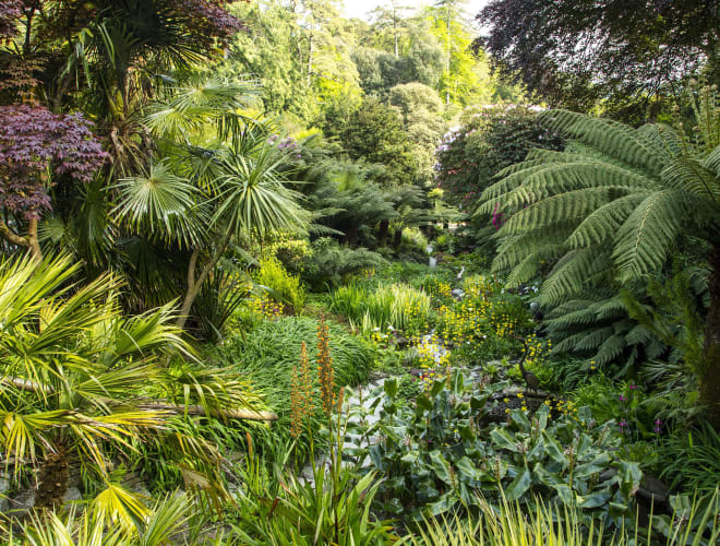 Falmouth, Trebah Garden