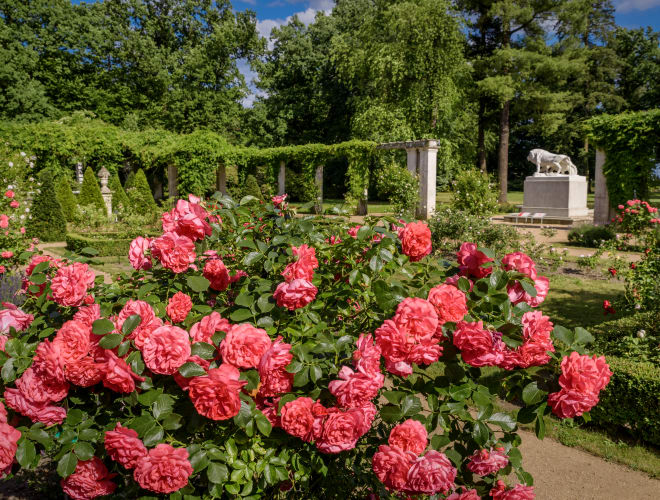 Forst, Ostdeutscher Rosengarten