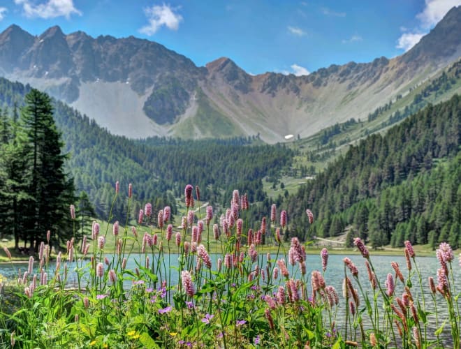 Parc naturel régional du Queyras