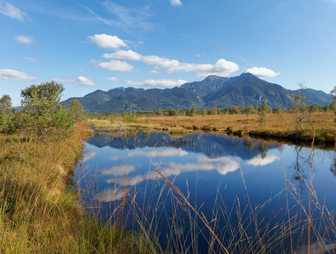 Grassau, Kendlmühlfilzen