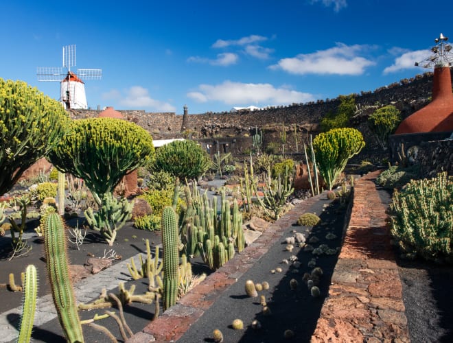 Guatiza, Jardín de Cactus