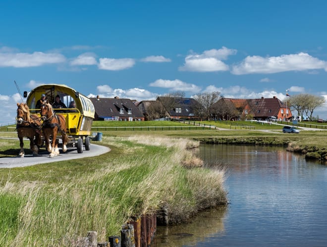 Hallig Hooge