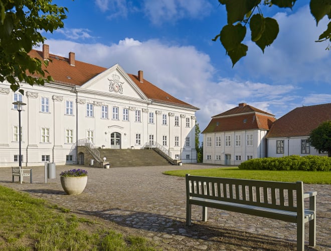 Hohenzieritz, Schloss Hohenzieritz