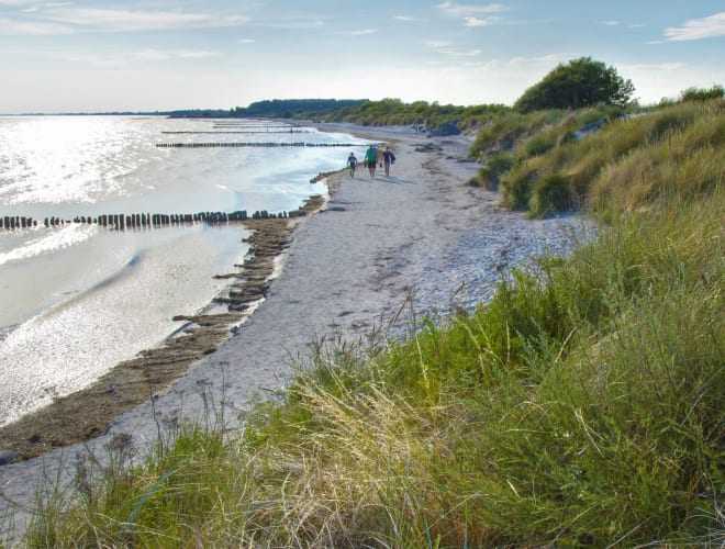 Stege (Insel Møn)
