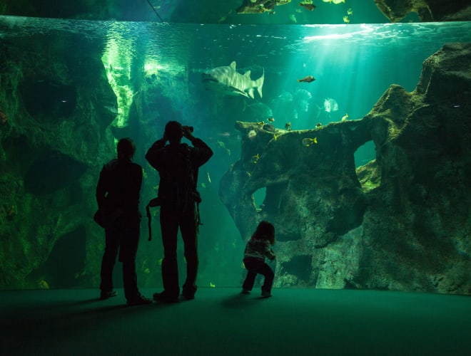 La Rochelle, Aquarium La Rochelle