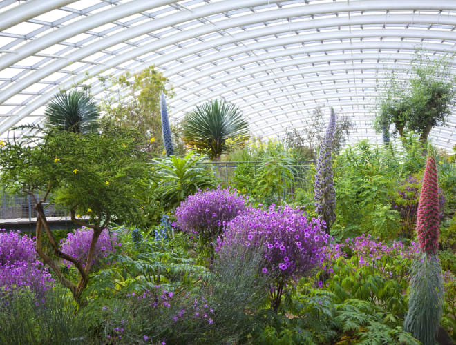 Llanarthne, National Botanic Garden of Wales