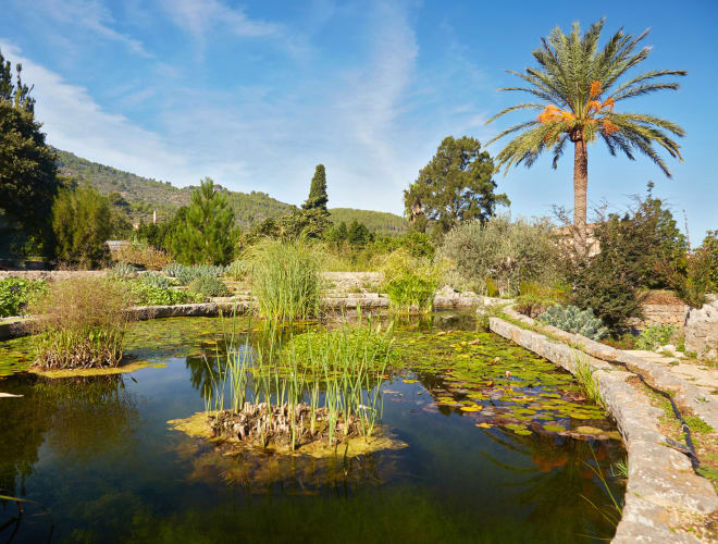 Sóller, Jardí Botànic