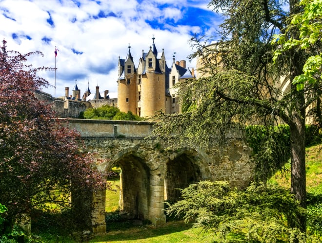 Montreuil-Bellay, Burg