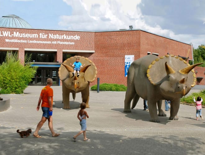 Münster, LWL-Museum für Naturkunde