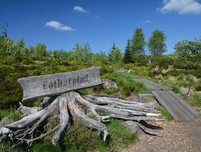 Seebach, Nationalpark Schwarzwald
