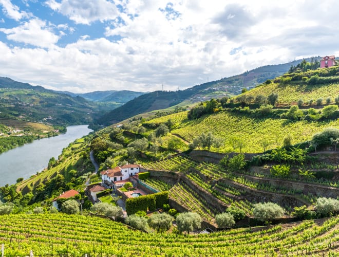 Douro-Tal