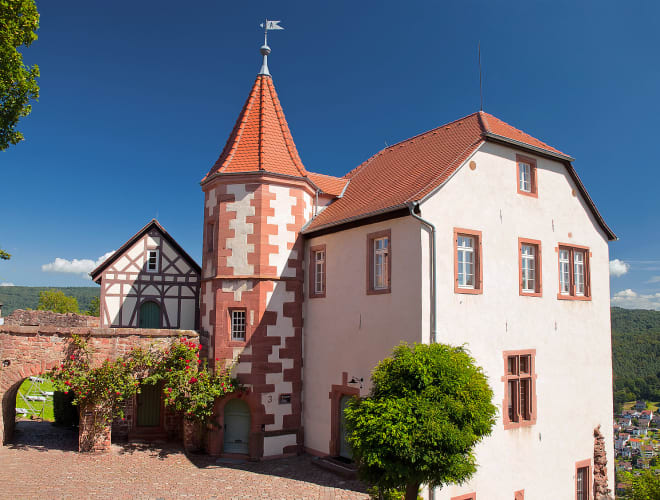 Neckargemünd