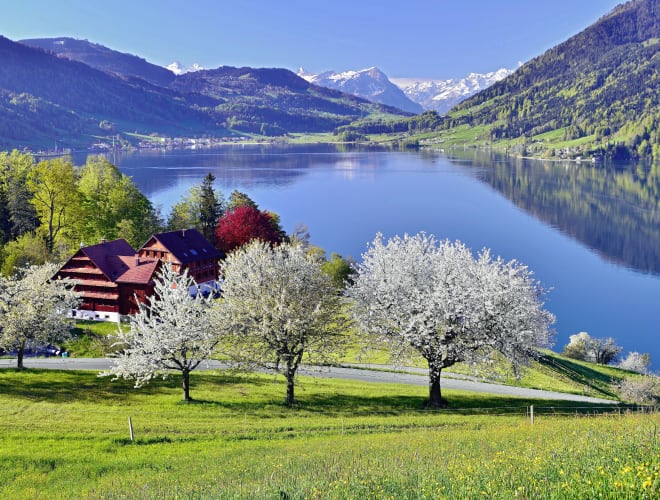 Ägerisee