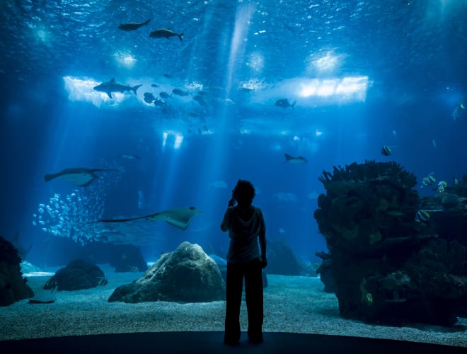 Lissabon, Oceanário de Lisboa