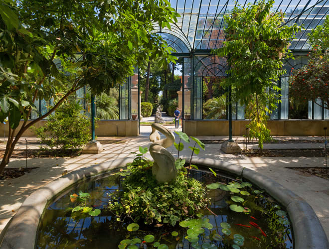Palermo, Orto Botanico