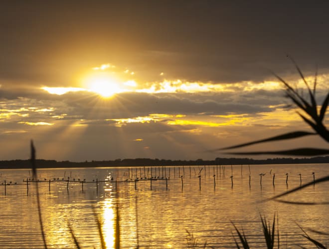 Parco Naturale di Migliarino, Lago di Massaciuccoli