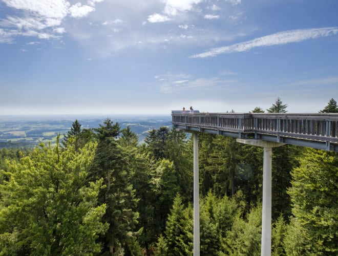Sankt Englmar Maibrunn, Waldwipfelweg