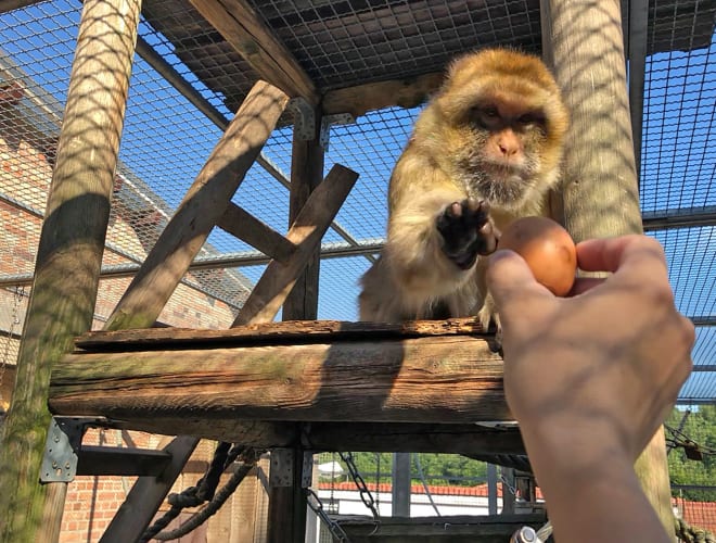 Schotten, Vogelpark Schotten