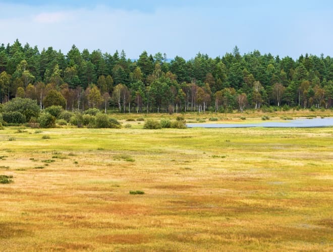 Hillerstorp, Store Mosse Nationalpark