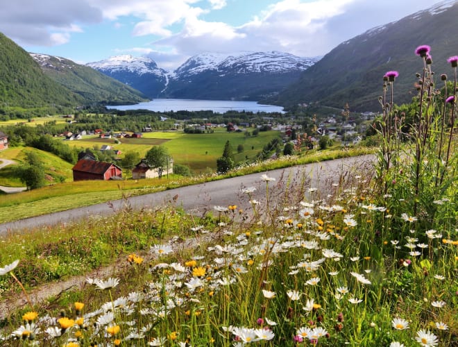 Røldal