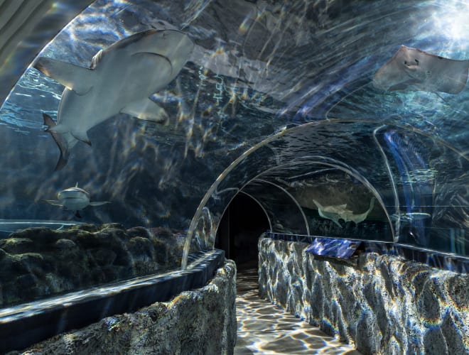 Westerland/Sylt, Sylt Aquarium