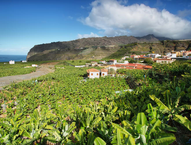 Tazacorte