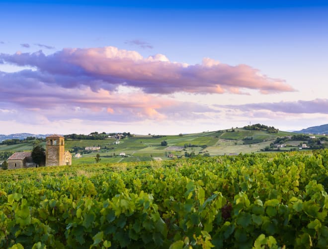 Villefranche-sur-Saône, Beaujolais