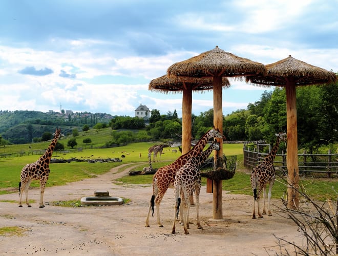 Prag, Zoologischer Garten