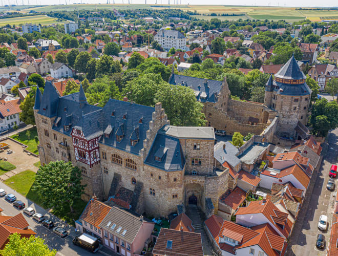 Alzey, Schloss Alzey
