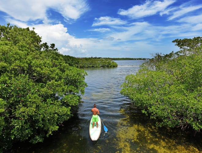 Key Largo, FL, John Pennekamp Coral Reef State Park