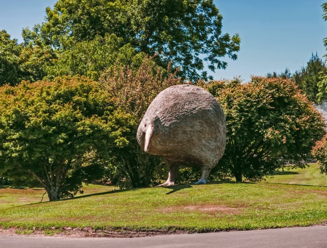Te Puke / Paengaroa, Kiwifruit Country