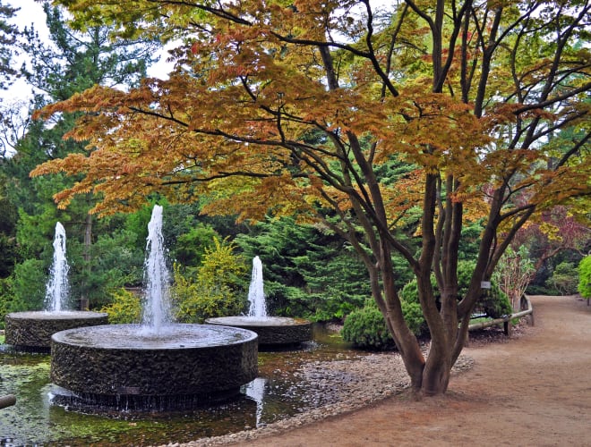 Köln, Forstbotanischer Garten und Friedenswald