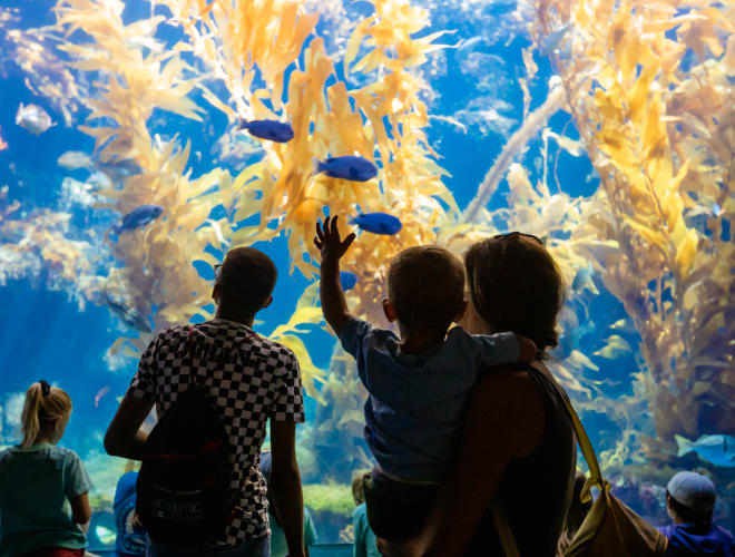 La Jolla, CA, Birch Aquarium Museum