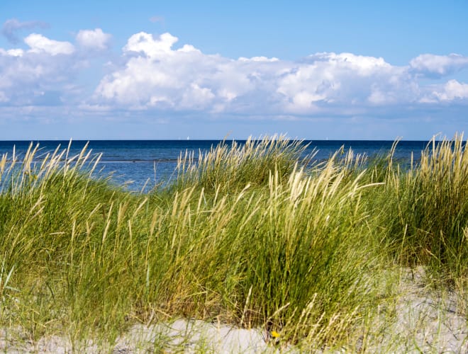Læsø, Læsø