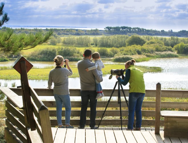 Lanchères, Baie de la Somme