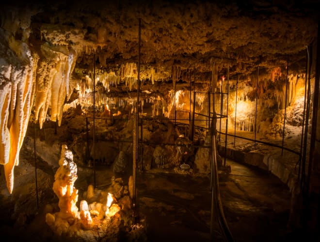 Les Eyzies de Tayac, Grotte du Grand Roc