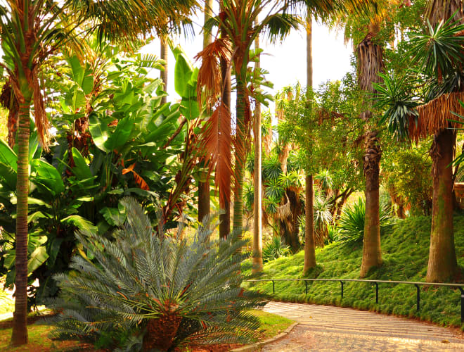 Lissabon, Jardim Botânico