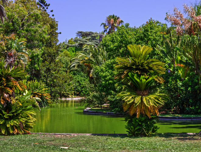 Lissabon, Jardim Botânico Tropical