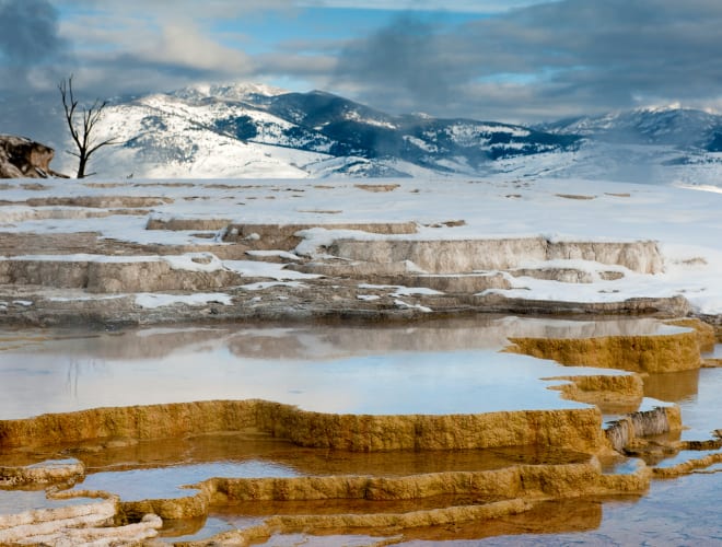 Mammoth Hot Springs, MT, Yellowstone National Park