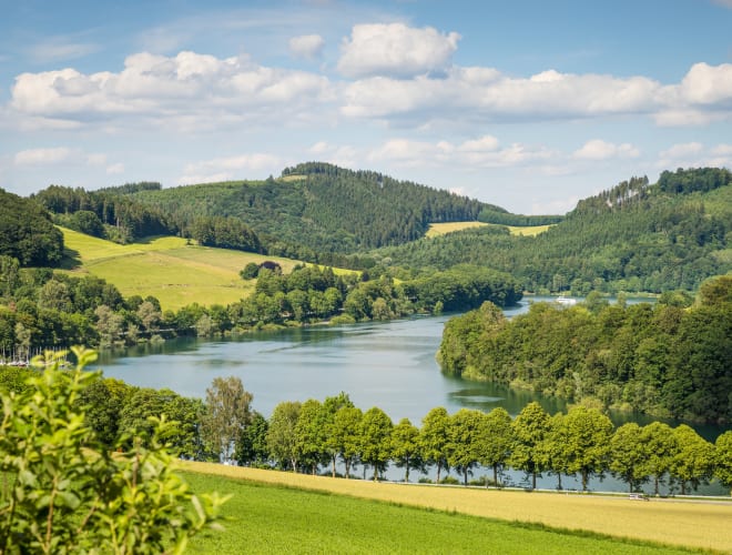 Meschede, Hennesee