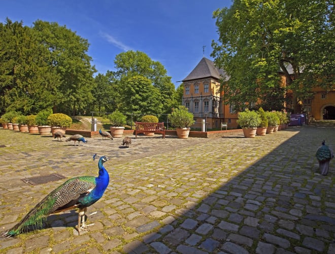 Mönchengladbach, Museum Schloss Rheydt