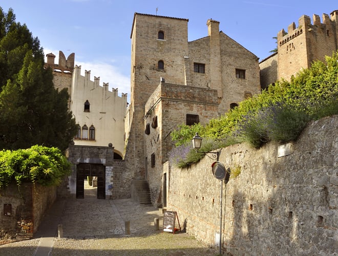 Monselice, Castello di Monselice