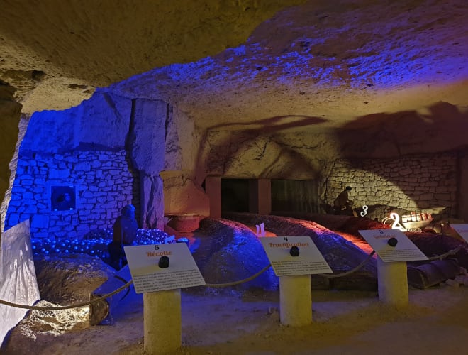 Montsoreau, Champignonnière du Saut aux Loups
